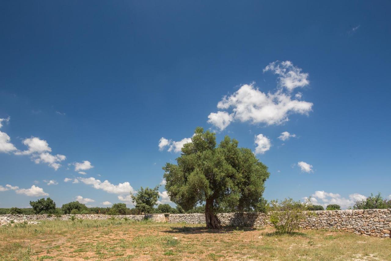 切列梅萨皮卡 Masseria Castelluzzo酒店 外观 照片